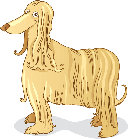 Long-Haired Dog