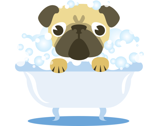 should you bathe your dog before or after grooming