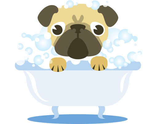 Pug in a bath