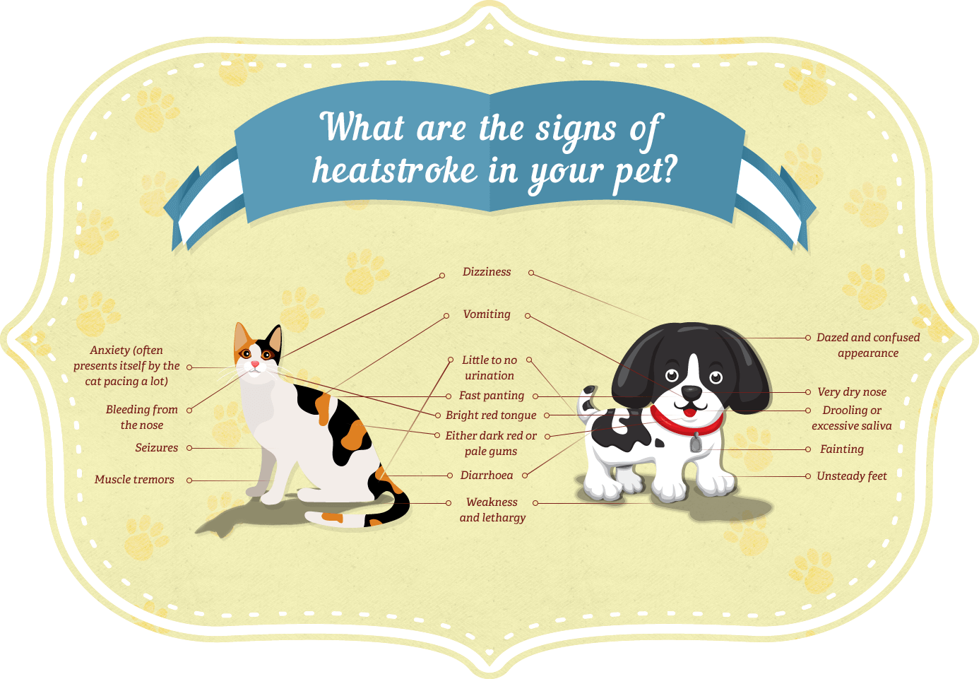 What are the signs of heatstroke in your pet?