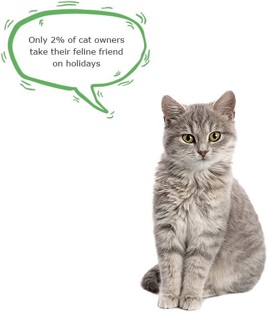 only 2% of cat owners take their feline friend on holidays