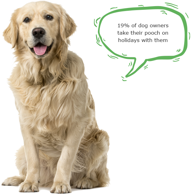 Interstate best sale pet travel