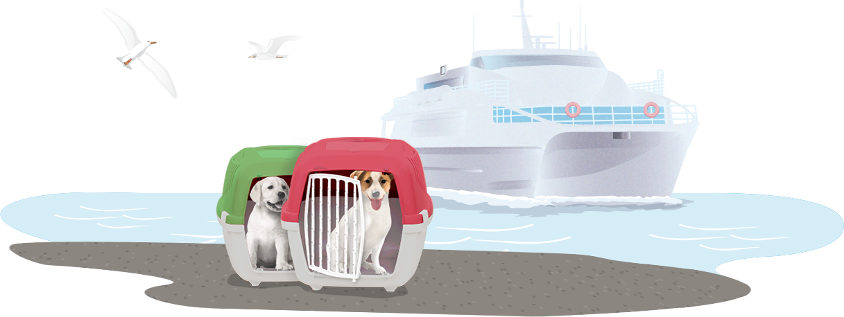 dogs with a ship in background